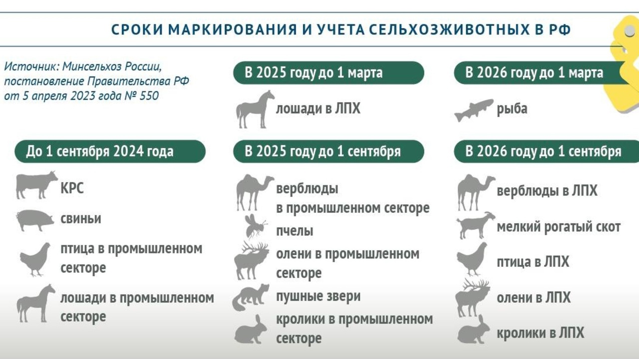 Увинская межрайонная станция по борьбе с болезнями животных обращается к жителям Увинского, Селтинского и Сюмсинского районов, содержащим крупный рогатый скот..