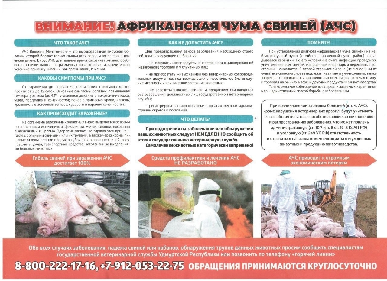 О недопущении АЧС.