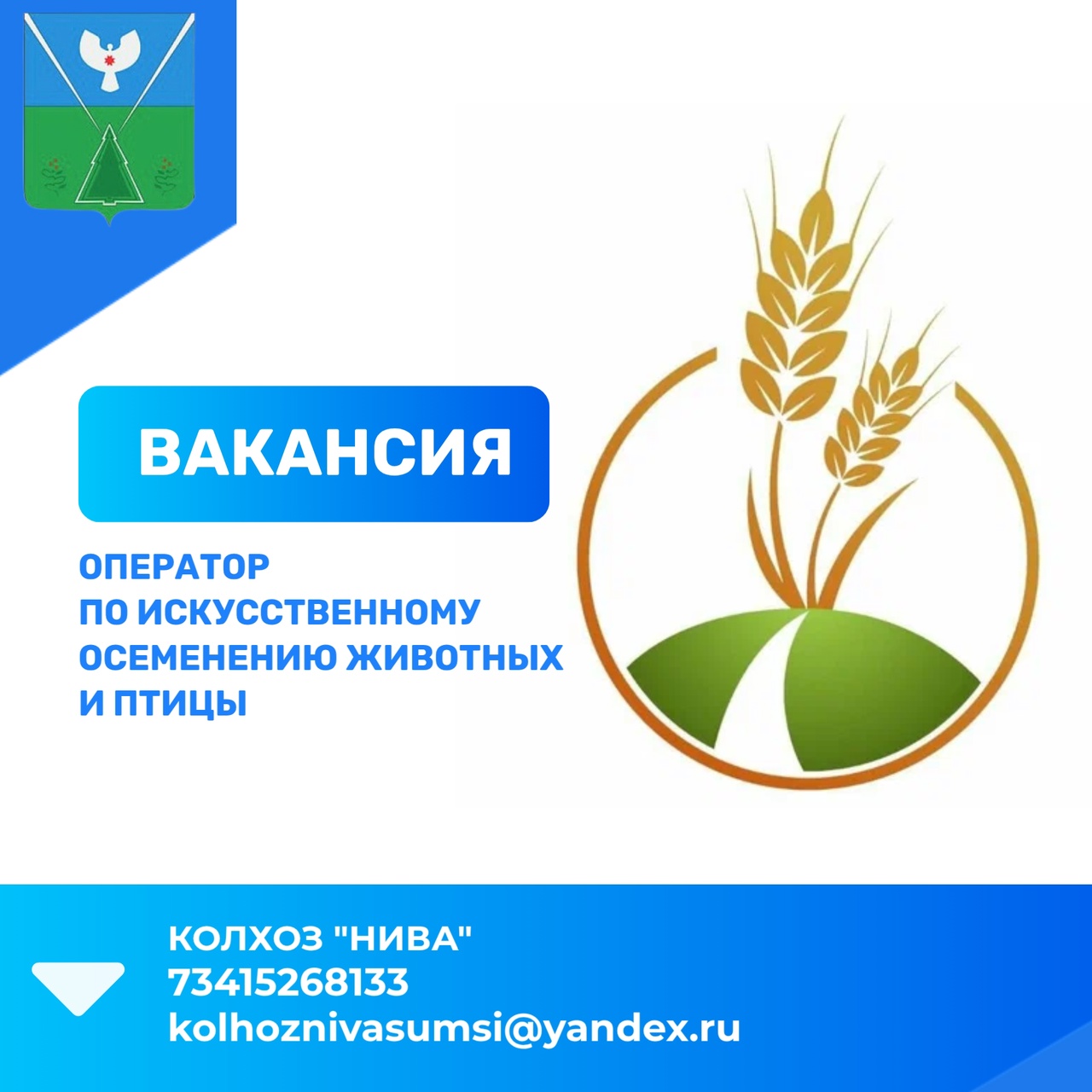Информация о  вакансиях в разрезе организаций, по состоянию на 30.06.2025 года.
