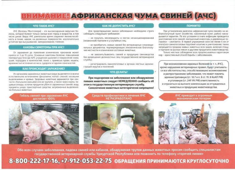 О недопущении АЧС. О недопущении АЧС.